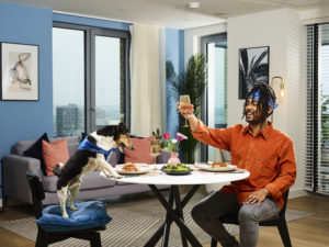 NHG Homes Campaign - Choose a Canine Flatmate