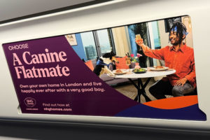 NHG Homes Campaign - Choose a Canine Flatmate tube ad
