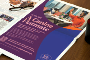 NHG Homes Campaign - Choose a Canine Flatmate