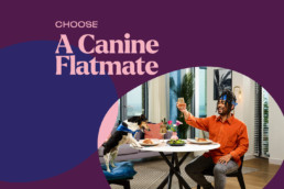 NHG Homes Campaign - Choose a Canine Flatmate