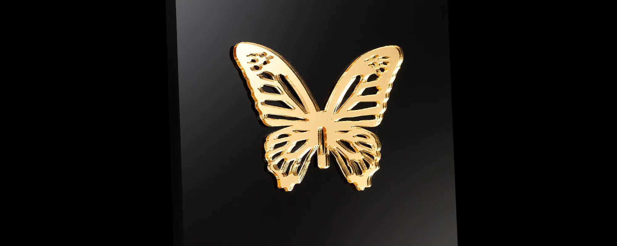 Transform-awards-2016